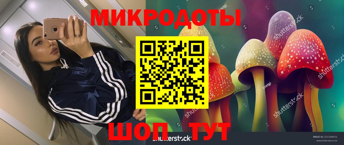 Галлюциногенные грибы прущие грибы Туймазы