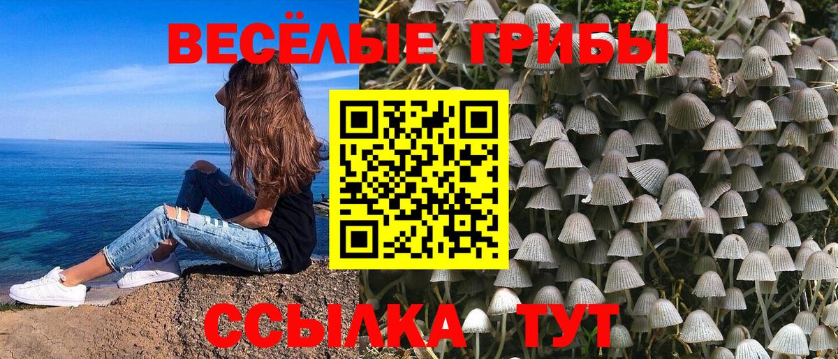 Псилоцибиновые грибы мицелий  Вход с VPN  Туймазы 
